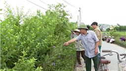 Bí thư chi bộ làm “dân vận khéo”